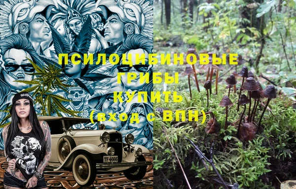 не бодяженный Белокуриха