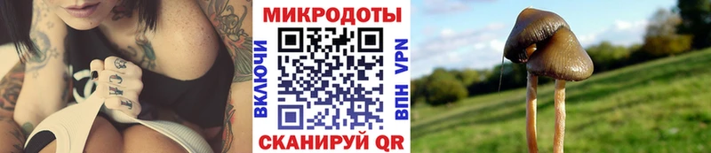 Псилоцибиновые грибы прущие грибы  Гатчина 